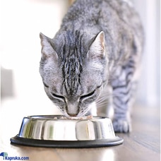 Pet Bowl Stainless Steel Pets Food Water Feeding Silver Colour F  Online for none