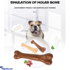 Hard Plastic Dog Bone Chew Toy For Dog Teething Aggressive Chewe  Online for none