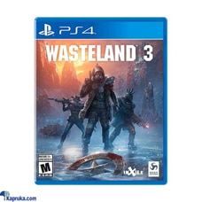 PS4 Game Wasteland 3  Online for none