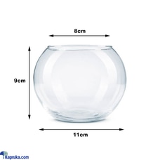 Glass Fish Bowl XS Bubble Goldfish Bowl Round Glass Jar Aquarium  Online for none