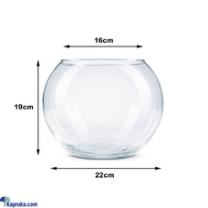 Glass Fish Bowl XL Bubble Goldfish Bowl Round Glass Jar Aquarium  Online for none