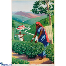 Tea Pluckers at Work Poster (1920s) | Vintage Ceylon Tea Industry Art | Promotional Artwork Highlighting Tea Production Buy Household Gift Items Online for specialGifts