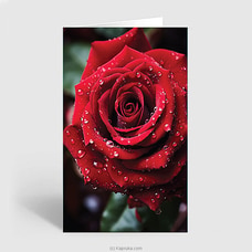 Happy Bday Rose Greeting Card  Online for none