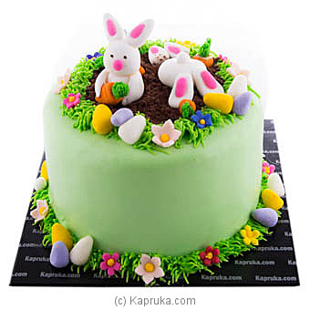 Mossy's masterpiece Summer's first Birthday cake hugs N stitches | 1st  birthday cake designs, 1st birthday cakes, Cupcake birthday cake
