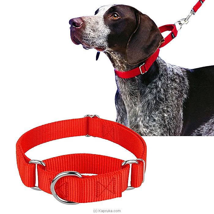 PetSafe Martingale Collar 1 Medium, Red